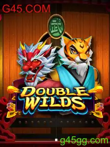 Explorando o Novo Jogo DoubleWilds: Regras e Introdução